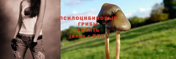 спайс Бородино