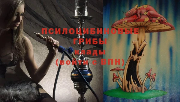 спиды Семикаракорск
