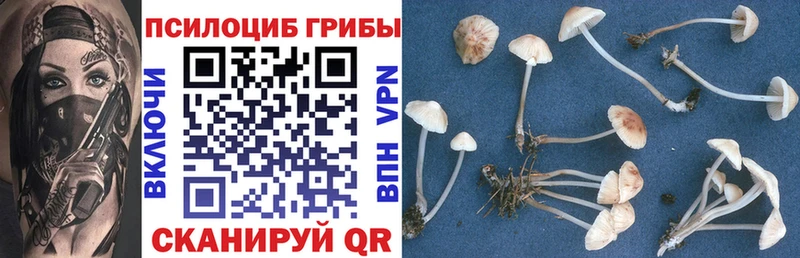 darknet телеграм Спас-Деменск Галлюциногенные грибы ЛСД